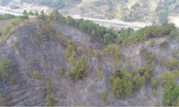 無人機(jī)防火巡視