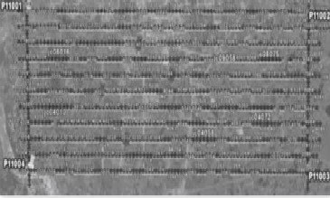 無(wú)人機(jī)大比例尺航測(cè)系統(tǒng)